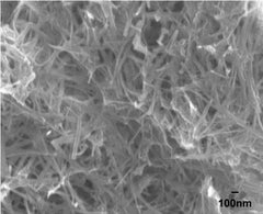 Silica Nanowires