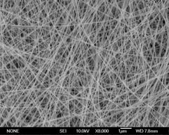 Metallic Nanowires