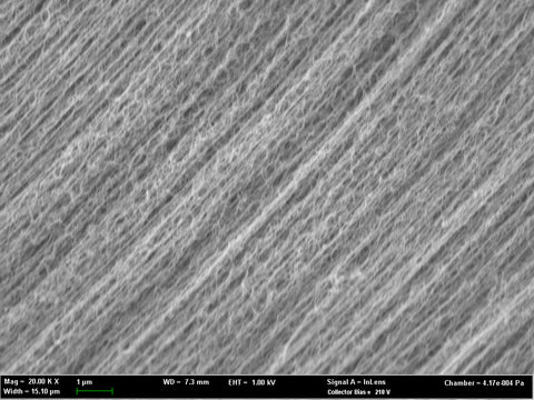 Multi-Walled Carbon Nanotubes ML