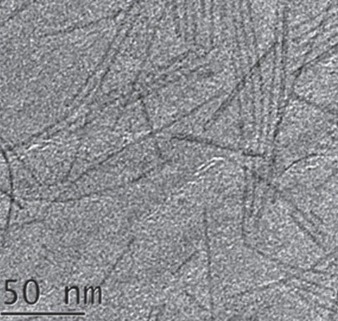 Tungsten Oxide Nanowires A2 (2nm×200nm)