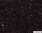 Silver Nanowires A50SL for Inkjet Printing (50nm×2-10µm)