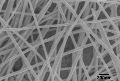 Silver Nanowires A50 (50nm×40µm)