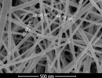 Silver Nanowires B45 (45nm×10µm)