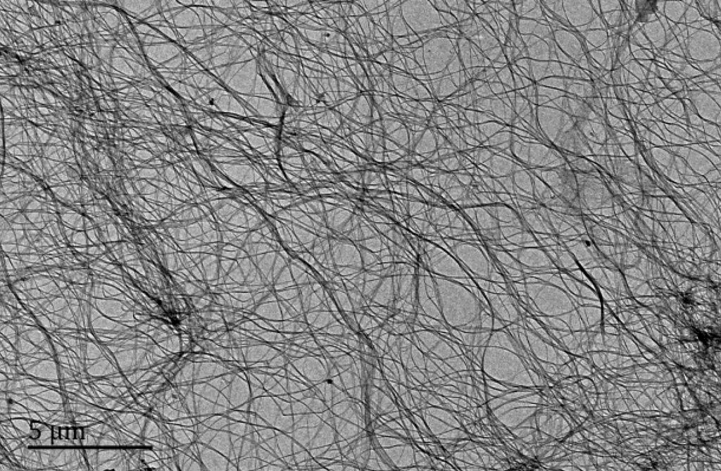 Cellulose Nanofibers (from Bacteria)