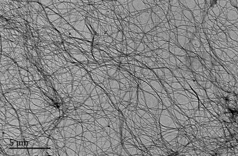 Cellulose Nanofibers (from Bacteria)