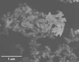 Iron Oxide Nanotubes (100nm×400nm)