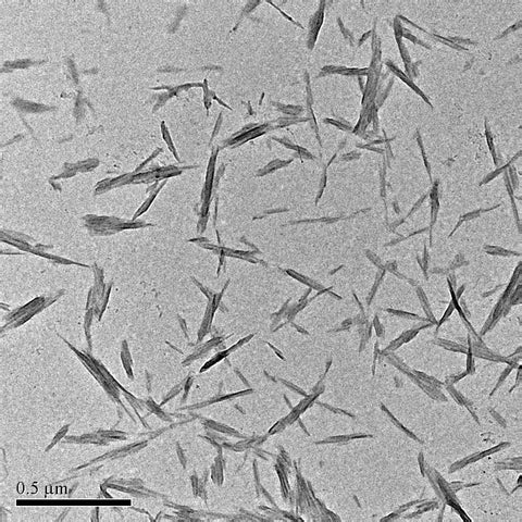 Cellulose Nanocrystals (CNC)