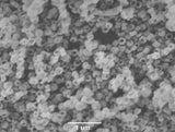 Iron Oxide Nanorings (200nm×150nm)