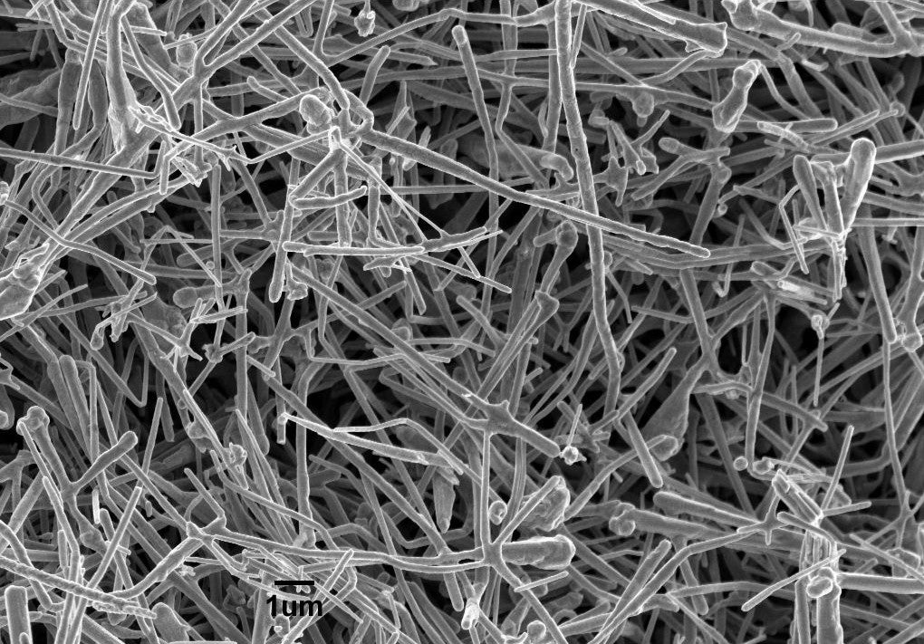 Copper Nanowires B1 (150nm×5µm)