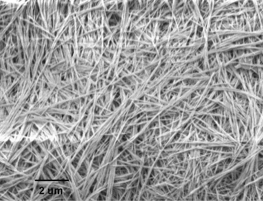Iron Oxide Nanowires A50 (50nm×5µm)