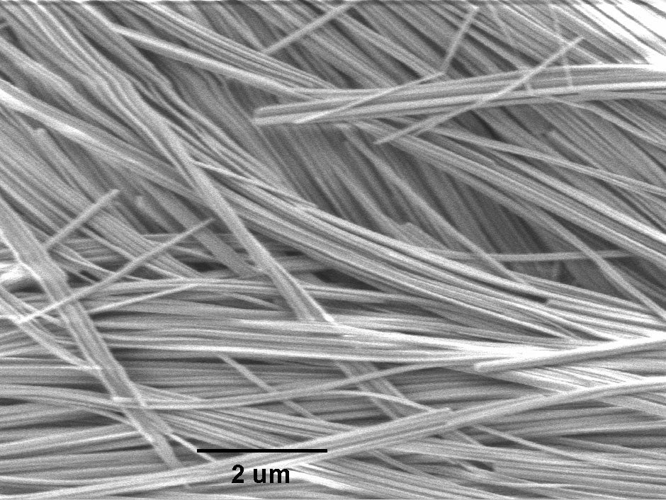 Sodium Ammonium Trimolybdate (NaNH4Mo3O10) Nanowires (80nm×50µm)