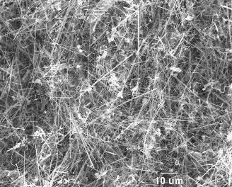 Silicon Carbide Nanowires A75 (350nm×75µm)