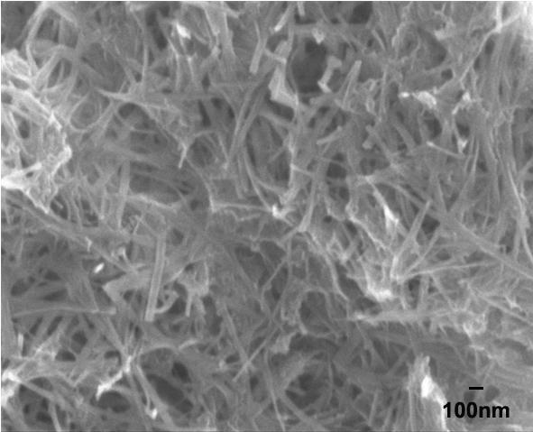 Silica Nanowires A10 (10nm×200nm)
