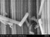 Silica nanowire A30