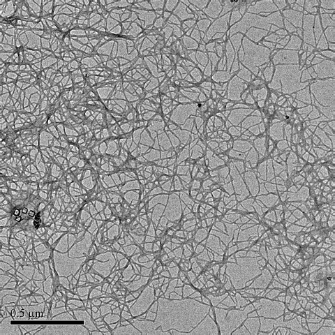 Cellulose Nanofibers (CNF)